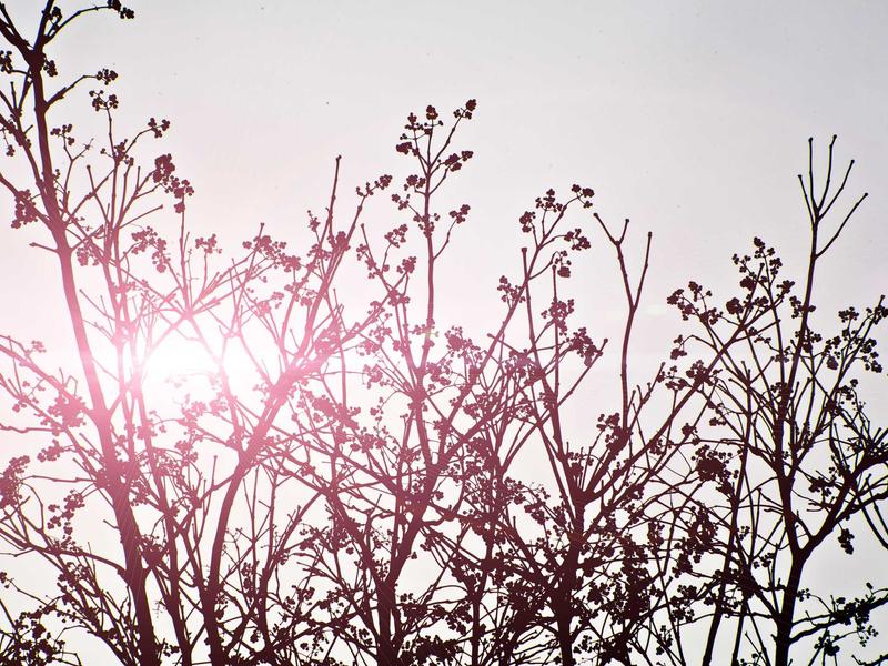 sudoku grid completion screenshot 6